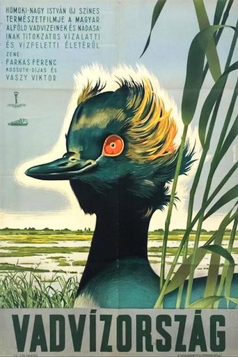 Vadvízország movie poster