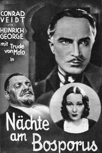 The Man Who Committed the Murder movie poster