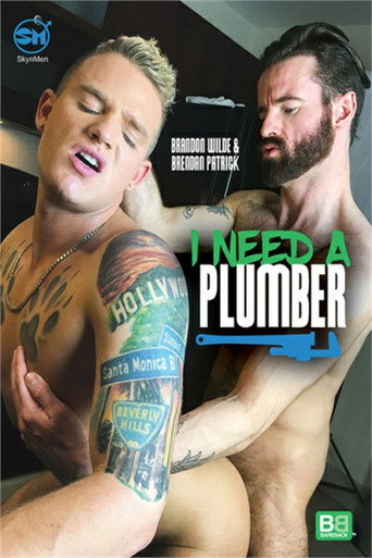 I Need A Plumber movie poster