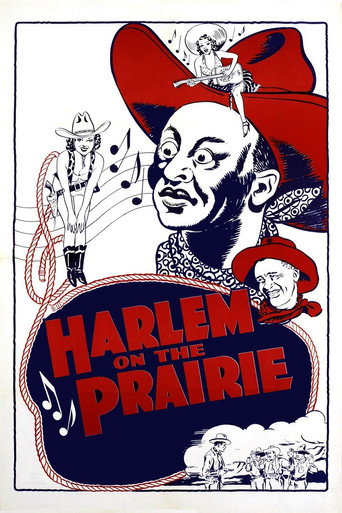 Harlem on the Prairie movie poster