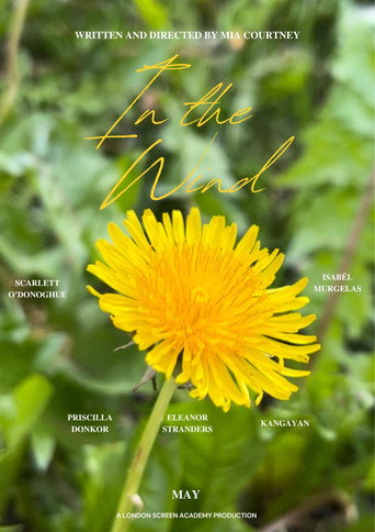 In The Wind movie poster