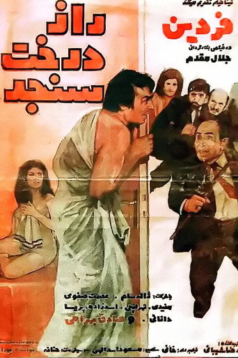 The secret of the oleaster tree movie poster