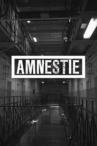Amnesty movie poster