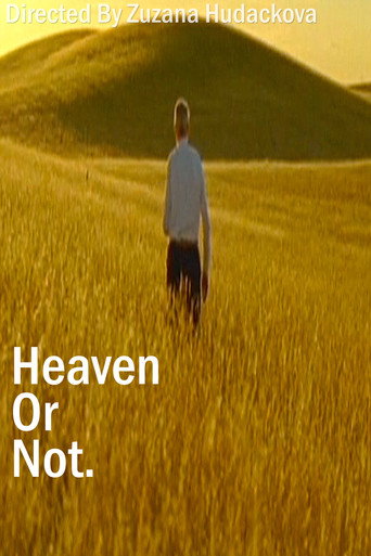 Heaven Or Not movie poster
