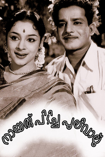 Nairu Pidicha Pulivalu movie poster