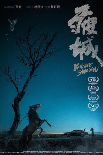 Kill the Shadow movie poster