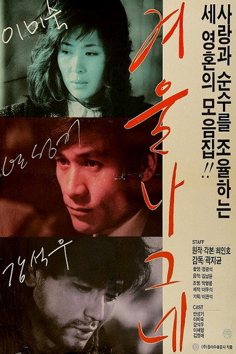Winter Wanderer movie poster