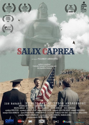 Salix Caprea movie poster