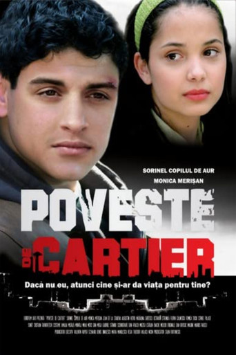 District Story movie poster