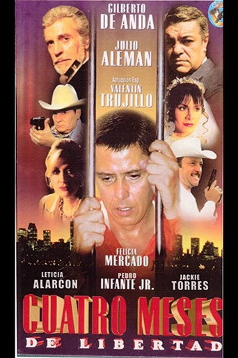 Cuatro meses de libertad movie poster