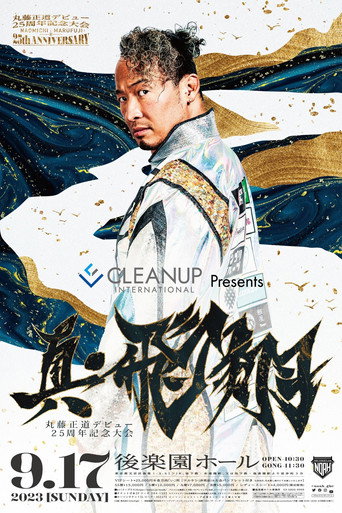 NOAH: Naomichi Marufuji 25th Anniversary Show movie poster