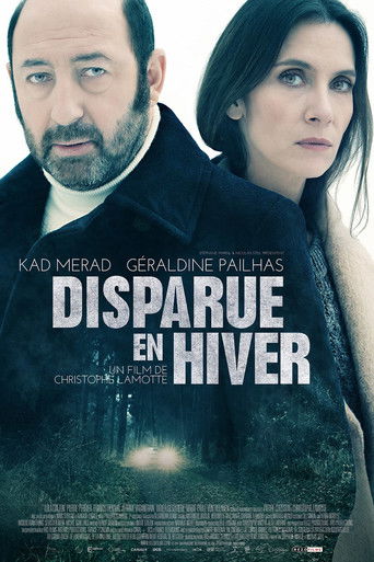 Disappeared in Winter movie poster