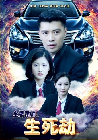 金牌律师之生死劫 movie poster
