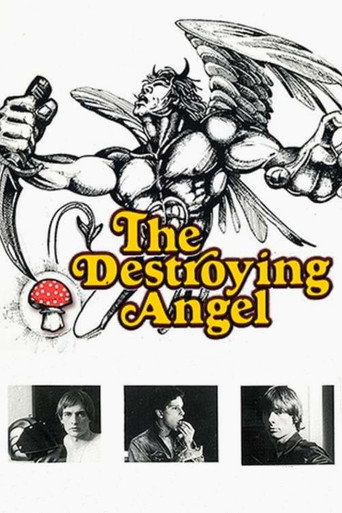 The Destroying Angel movie poster
