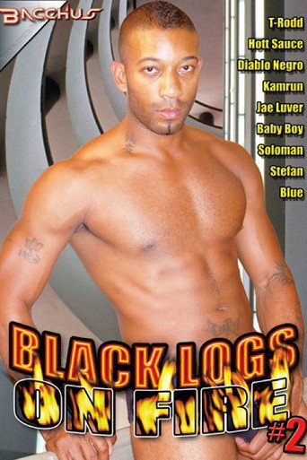Black Logs on Fire 2 movie poster