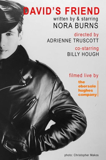 David's Friend movie poster