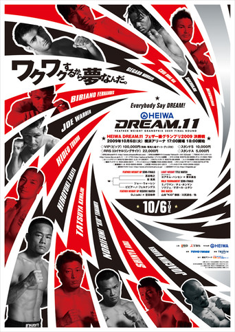 DREAM 11 movie poster