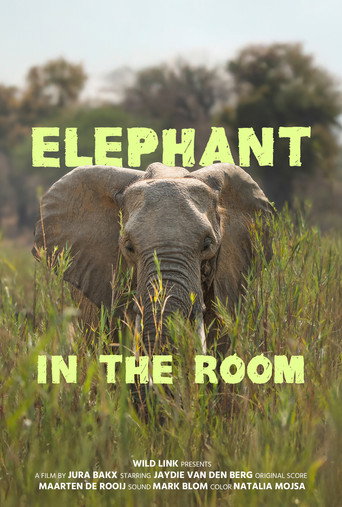 Elephant in the Room movie poster
