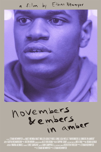 Novembers & Embers in Amber movie poster