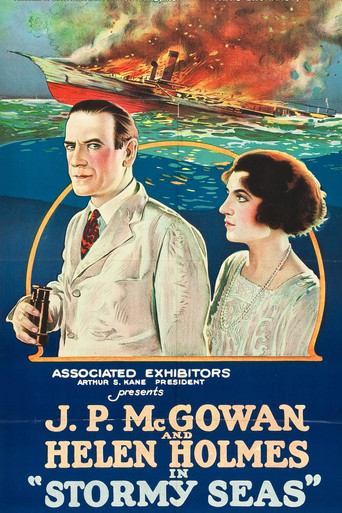 Stormy Seas movie poster
