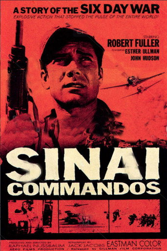 Sinai Commados movie poster