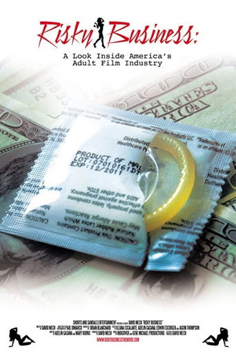 Risky Business: A Look Inside America's Adult Film Industry movie poster