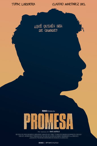 Promise movie poster