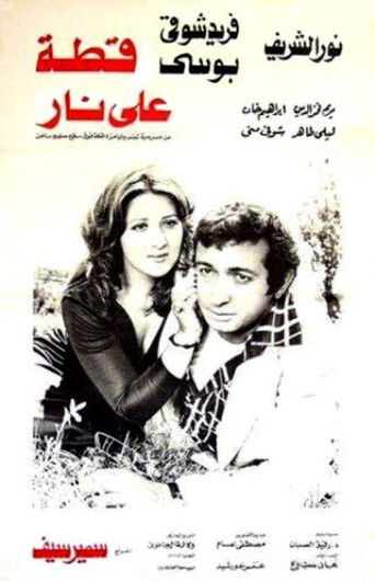 Cat on Fire movie poster