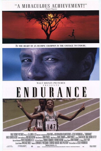 Endurance movie poster