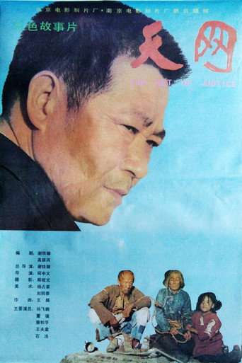 The Net of Justice movie poster