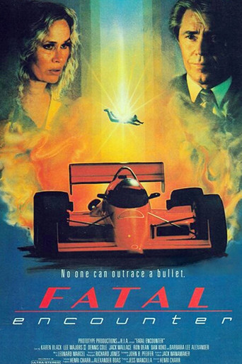 Fatal Encounter movie poster