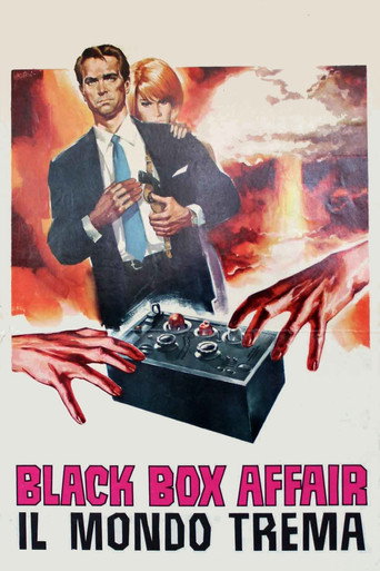 Black Box Affair movie poster