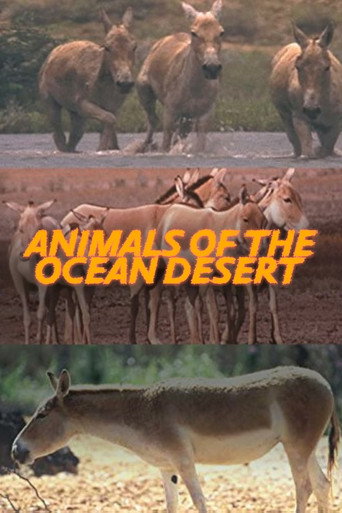 Animals of the Ocean Desert movie poster