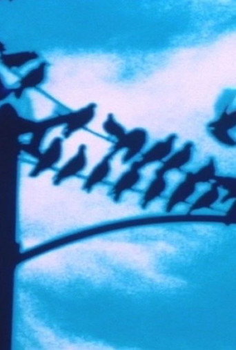 Faultlines movie poster