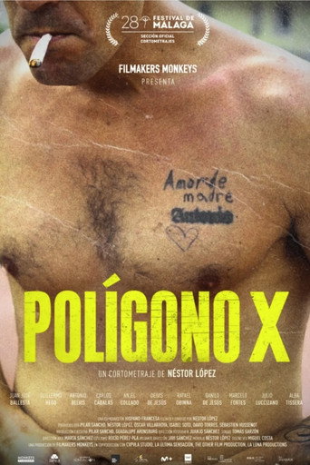 Polígono X movie poster