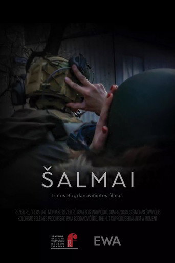 Helmets movie poster