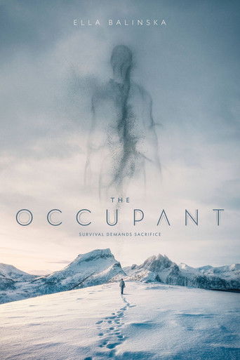 The Occupant movie poster