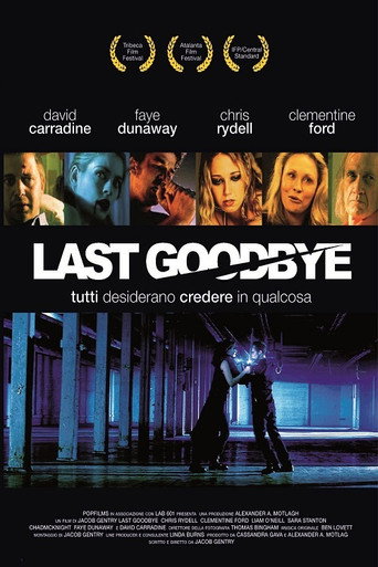 Last Goodbye movie poster
