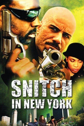 Snitch in New York movie poster