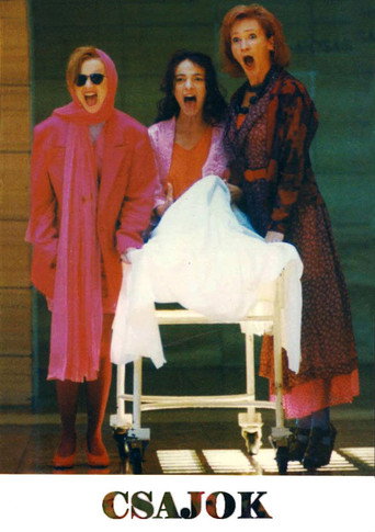 Bitches movie poster