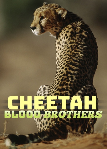 Cheetah Blood Brothers movie poster