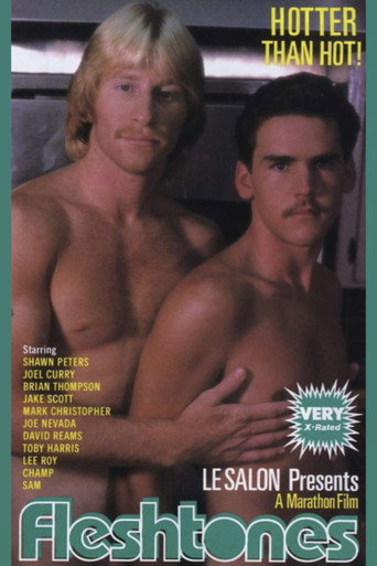 Fleshtones movie poster