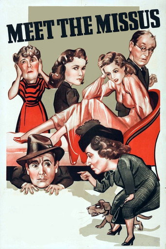 Meet the Missus movie poster