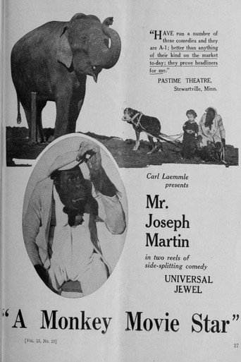 A Monkey Movie Star movie poster