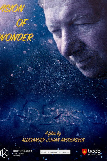 Vision of Wonder movie poster