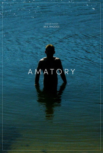 Amatory movie poster