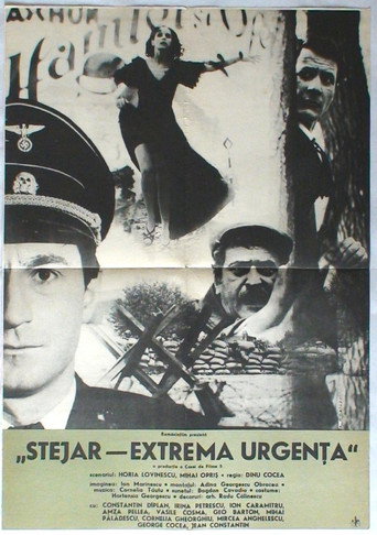 Stejar, extremă urgență movie poster