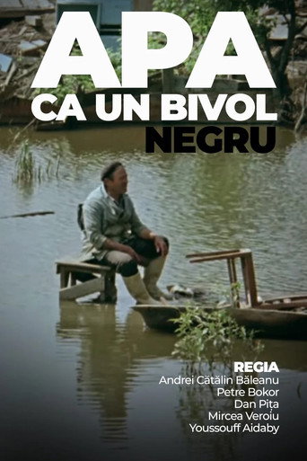 Water Like a Black Buffalo movie poster