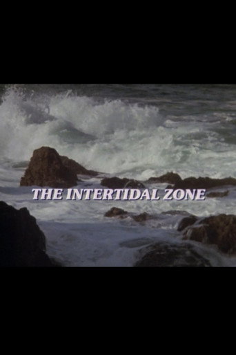 The Intertidal Zone movie poster