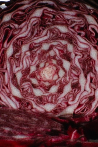 Cabbage movie poster